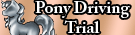 Pony Driving Trial