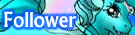 Follower